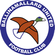 ballinamallard fc crest