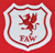 fa wales crest 1926